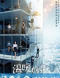 温暖的弦 (2018)