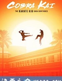 眼镜蛇 第一季 Cobra Kai Season 1 (2018)