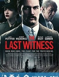 最后证人 The Last Witness (2018)