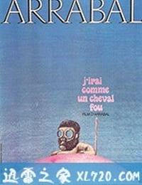 我像疯马般行走 J'irai comme un cheval fou (1973)