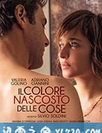 藏色之物 Il colore nascosto delle cose (2017)