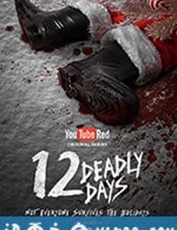 致命12天 12 Deadly Days (2016)