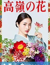 高岭之花 高嶺の花 (2018)