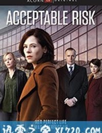 可接受风险 第一季 Acceptable Risk Season 1 (2017)