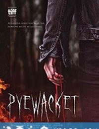 猫妖 Pyewacket (2017)