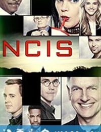 海军罪案调查处 第十六季 NCIS: Naval Criminal Investigative Service Season 16 (2018)