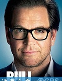 庭审专家 第三季 Bull Season 3 (2018)