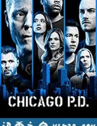 芝加哥警署 第六季 Chicago P.D. Season 6 (2018)