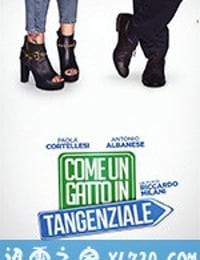 高速路上一只猫 Come un gatto in tangenziale (2017)