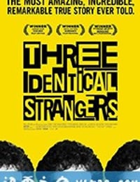 孪生陌生人 Three Identical Strangers (2018)