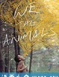 我们，动物 We the Animals (2018)