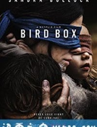 蒙上你的眼 Bird Box (2018)