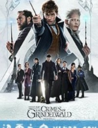 神奇动物：格林德沃之罪 Fantastic Beasts: The Crimes of Grindelwald (2018)