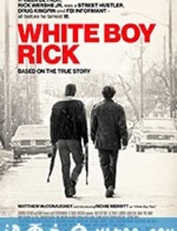 白人男孩瑞克 White Boy Rick (2018)