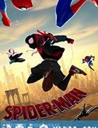 蜘蛛侠：平行宇宙 Spider-Man: Into the Spider-Verse (2018)