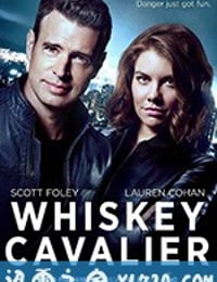 互怼特工 Whiskey Cavalier (2019)