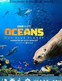 海洋：我们的蓝色星球 Oceans: Our Blue Planet (2018)