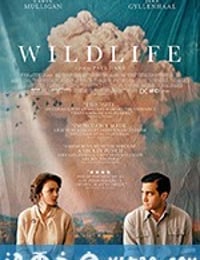 狂野生活 Wildlife (2018)