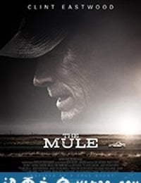 骡子 The Mule (2018)