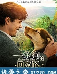 一条狗的回家路 A Dog's Way Home (2019)