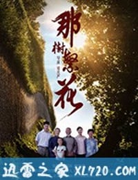 那树繁花 (2019)