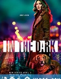 暗中 In the Dark (2019)