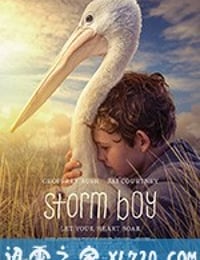 鹈鹕的故事 Storm Boy (2019)