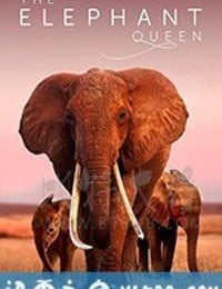 大象女王 The Elephant Queen (2018)