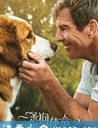 一条狗的使命2 A Dog's Journey (2019)