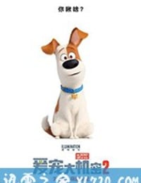 爱宠大机密2 The Secret Life of Pets 2 (2019)