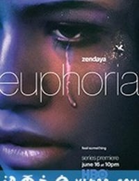 亢奋 第一季 Euphoria Season 1 (2019)