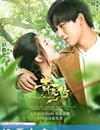 青囊传 (2019)