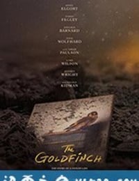 金翅雀 The Goldfinch (2019)