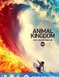 野兽家族 第四季 Animal Kingdom Season 4 (2019)