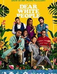 亲爱的白种人 第三季 Dear White People Season 3 (2019)