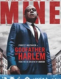 哈林教父 The Godfather of Harlem (2019)