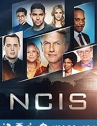 海军罪案调查处 第十七季 NCIS: Naval Criminal Investigative Service Season 17 (2019)