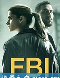 联邦调查局 第二季 FBI Season 2 (2019)