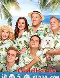 戈德堡一家 第七季 The Goldbergs Season 7 (2019)