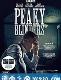 浴血黑帮 第五季 Peaky Blinders Season 5 (2019)