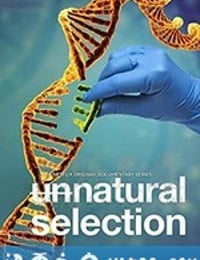 物竞人择 Unnatural Selection (2019)