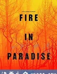 天堂镇大火 Fire in Paradise (2019)