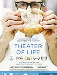 人生剧场 Theater of Life (2016)