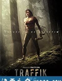 假期惊魂 Traffik (2018)