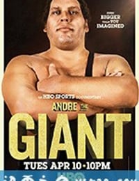 巨人安德雷 Andre the Giant (2018)