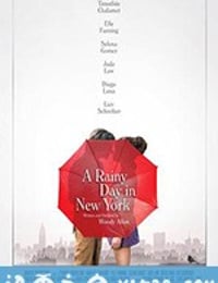 纽约的一个雨天 A Rainy Day in New York (2019)