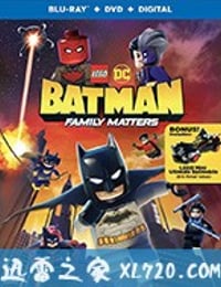 乐高DC蝙蝠侠：家族事务 LEGO DC Batman: Family Matters (2019)