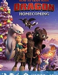 驯龙高手：归家 How to Train Your Dragon: Homecoming (2019)