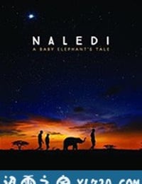纳勒迪：一只小象的故事 Naledi: A Baby Elephant's Tale (2016)