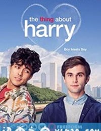 关于哈利的那些事 The Thing About Harry (2020)